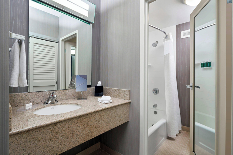 Bathroom 3, Courtyard by Marriott Baltimore BWI Airport, Anne Arundel