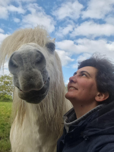 Others 3, Relais equestre du Miloir - chambres d'hotes, Calvados