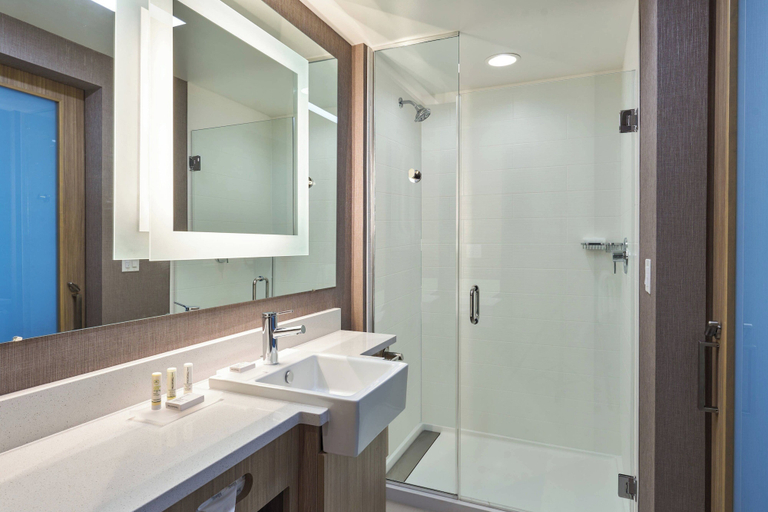 Bathroom 4, SpringHill Suites by Marriott Orlando Lake Nona, Orange