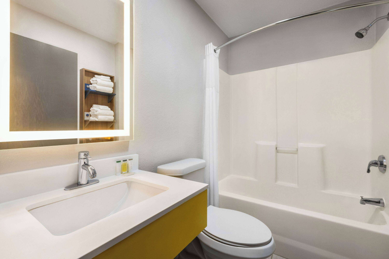 Bathroom 5, Microtel Inn & Suites by Wyndham New Ulm, Brown