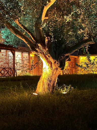 Others 3, MARYY'INN BOUTIQUE Hotel, Selçuk
