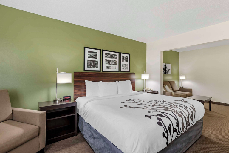 Bedroom 3, Sleep Inn & Suites Charles City, Floyd