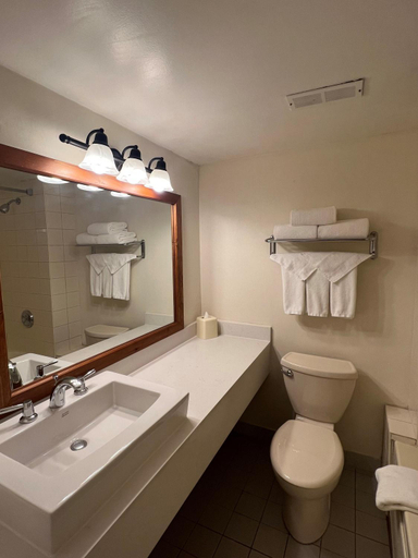 Bathroom 3, Hidden Valley Resort, an Ascend Collection Resort, Muskoka