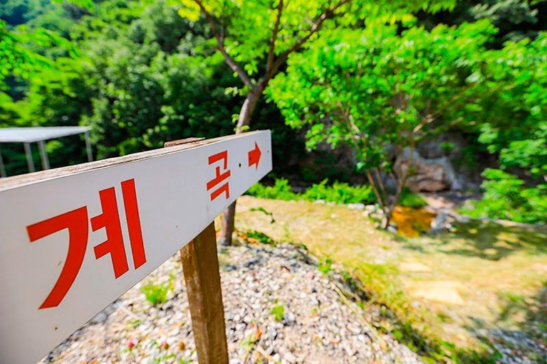 Others 2, Muju Deogyusan Landscape Pension, Muju