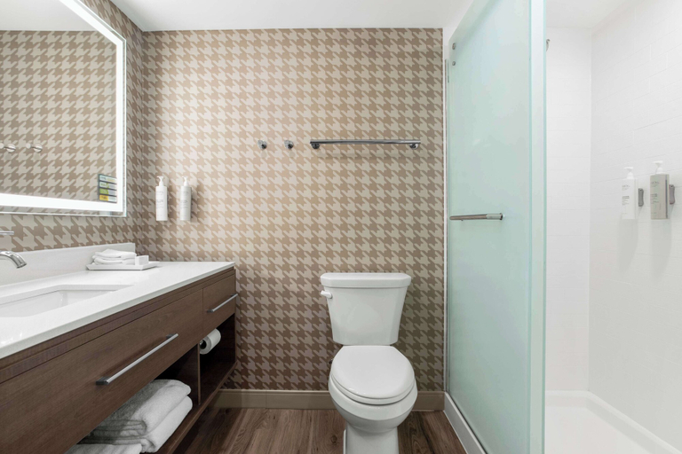 Bathroom 4, Home2 Suites By Hilton Owatonna, Steele