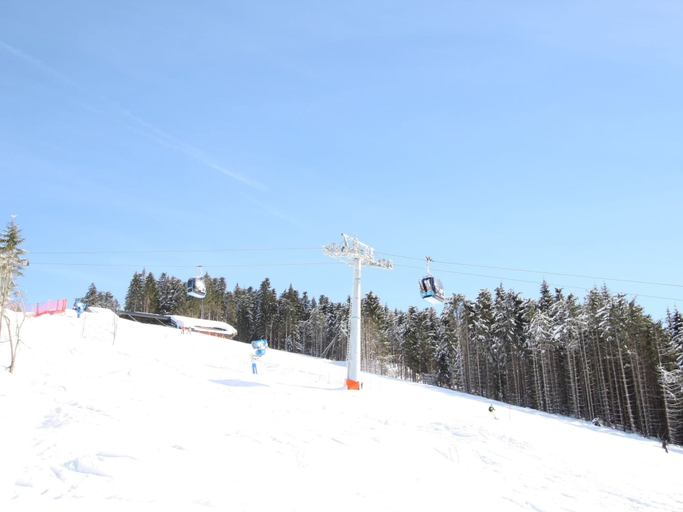 Others 4, Boutique Chalet in Maria Alm near Hochkönig, Zell am See