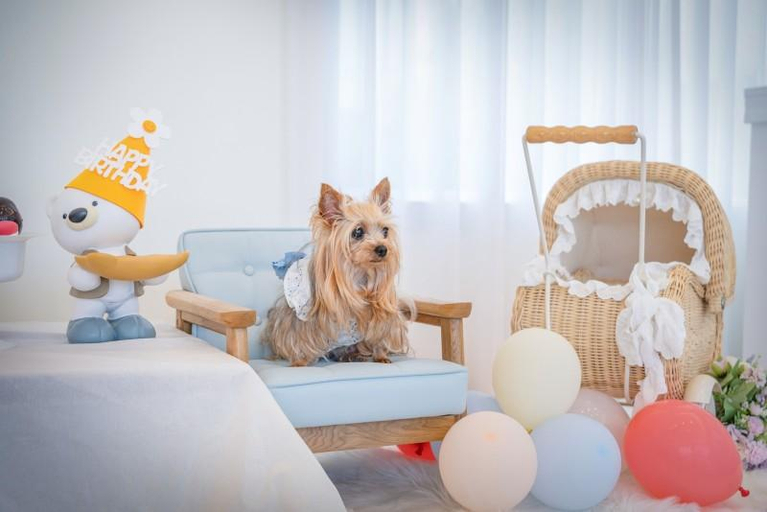 Others 3, Taean Mengs Club Dog Pool Villa, Taean