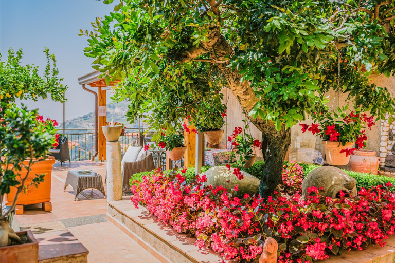 Others 2, B&B IL CORTILE, Salerno