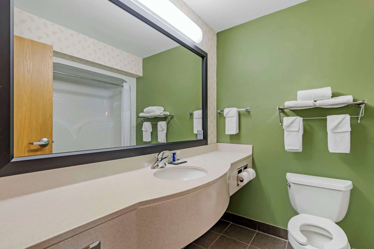 Bathroom 4, Sleep Inn & Suites Charles City, Floyd