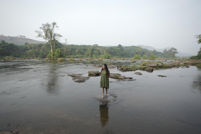 Others 3, Clive Ten Resorts Athirappilly,10 minutes drive from Athirappilly waterfall, Thrissur
