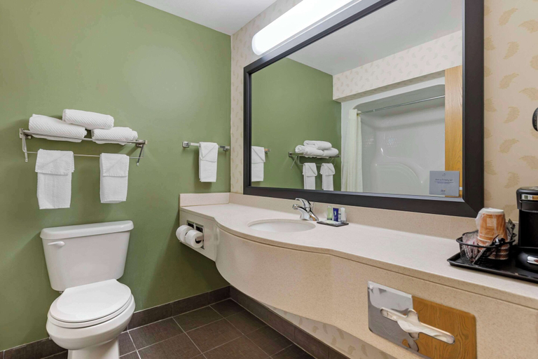 Bathroom 4, Sleep Inn & Suites Charles City, Floyd