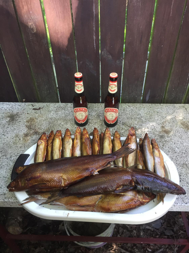 Food & Drinks, POGO wakacyjny dom nad Narwia - wlasny pomost, Pułtusk