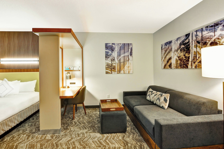Others 5, SpringHill Suites By Marriott Columbia Fort Meade Area, Howard