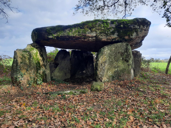Others 5, Le Presbytere des Renards, Haute-Vienne