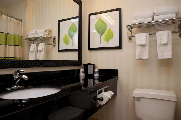 Bathroom 5, Fairfield Inn & Suites Joliet North/Plainfield, Will