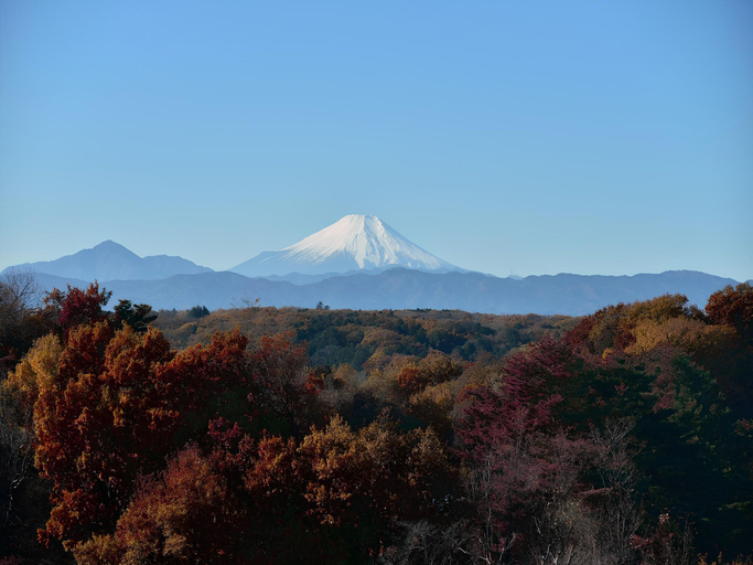 Scenery 16