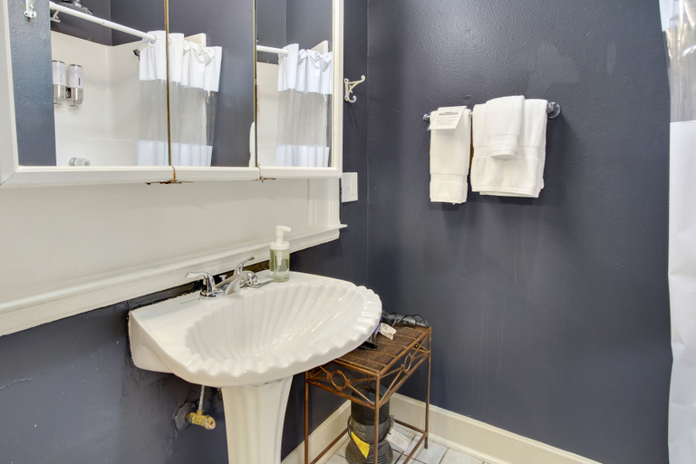 Bathroom 2, Rathbone Mansions, Orleans