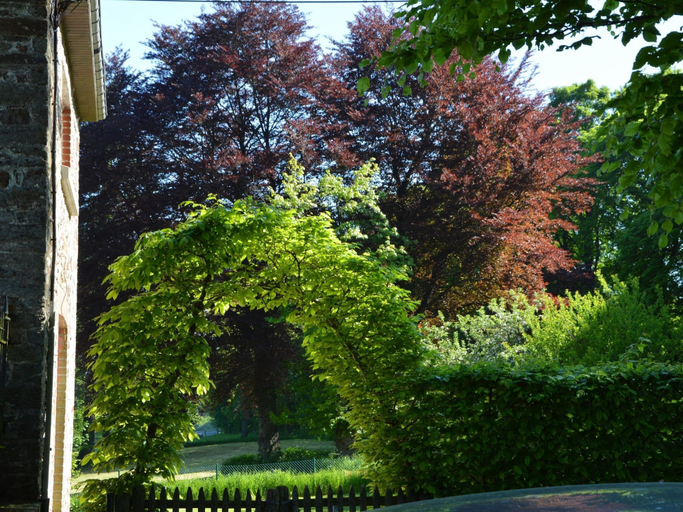 Others 4, Charming Castle in Roumont, Luxembourg