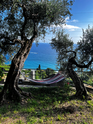 Garden 3, Casa Pernice, Genova