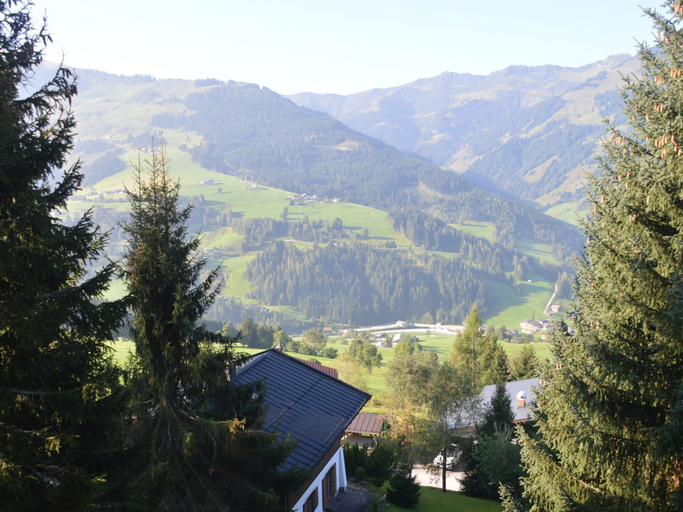 Others 5, Boutique Chalet in Maria Alm near Hochkönig, Zell am See