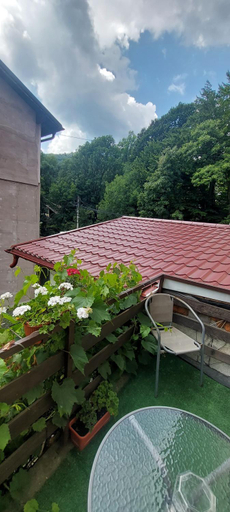 Others 4, CASA RYANA SINAIA, Sinaia
