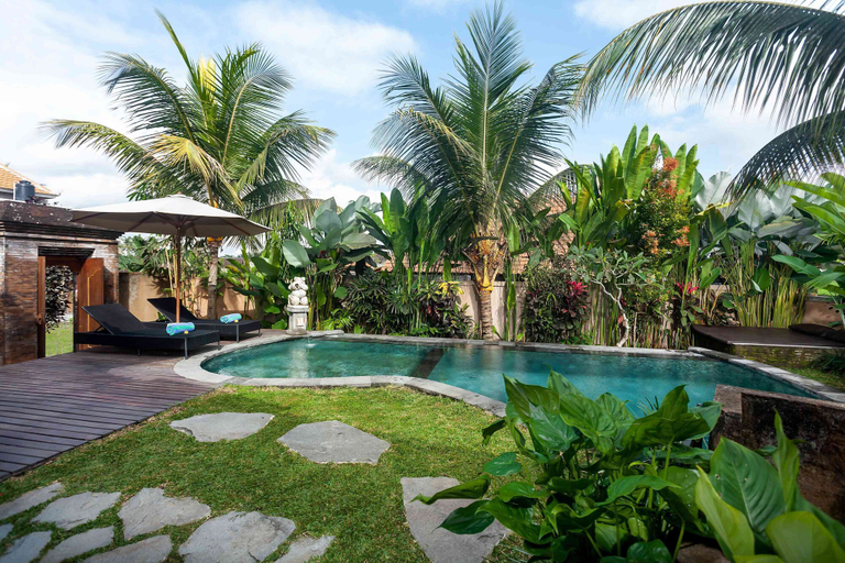 Swimming Pool 9