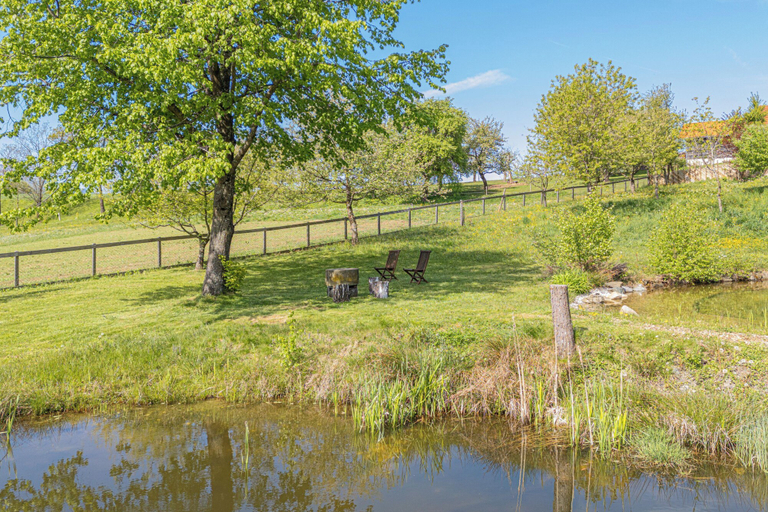 Property grounds 2, Eco Farm Mikl Pine Tree Apartment, Prevalje
