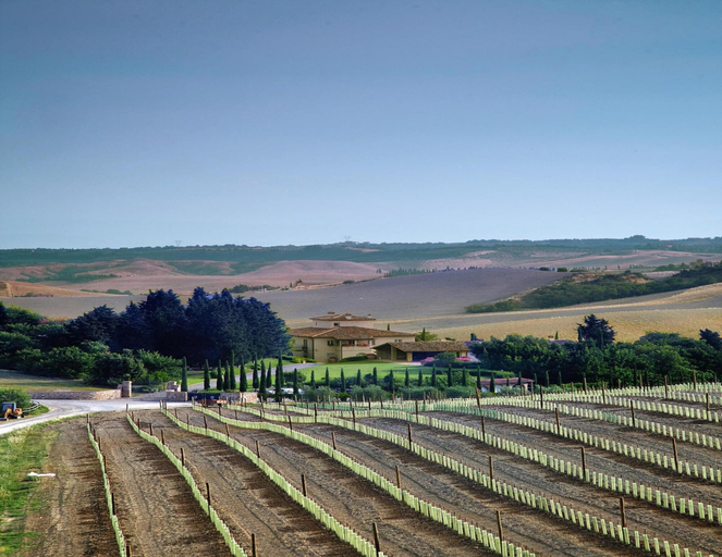 View from property 5, Apartment in Tuscany With Pool & Golf Access, Florence