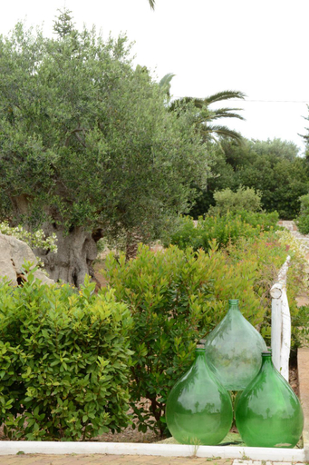 Others 5, VILLA MARIA, Bari