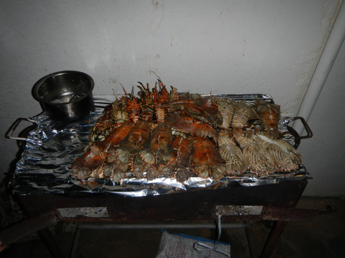 Food & Drinks 5, Villa NOAH LUXURY, Kaskazini 'B'