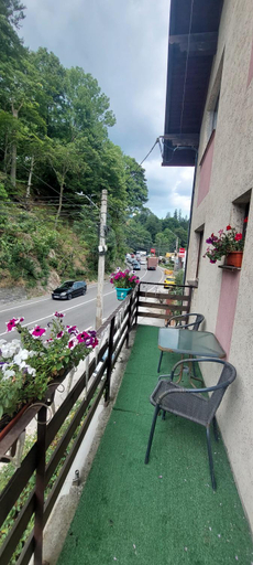 Others 5, CASA RYANA SINAIA, Sinaia