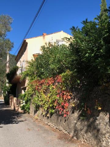 Others 4, BandB - les rosiers - Corse - Chambre Hellebore, Corse-du-Sud