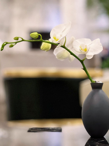 Public Area 4, Crowne Plaza Zhengzhou By IHG, Zhengzhou