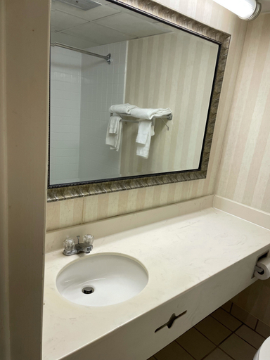 Bathroom 3, The Royal Inn & Suites, Summit