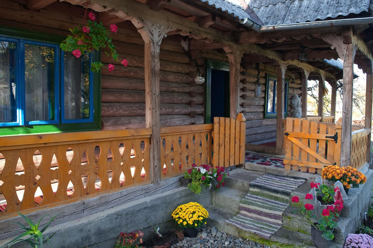 Exterior view 4, La Rodica in Vale, Ocna Sugatag