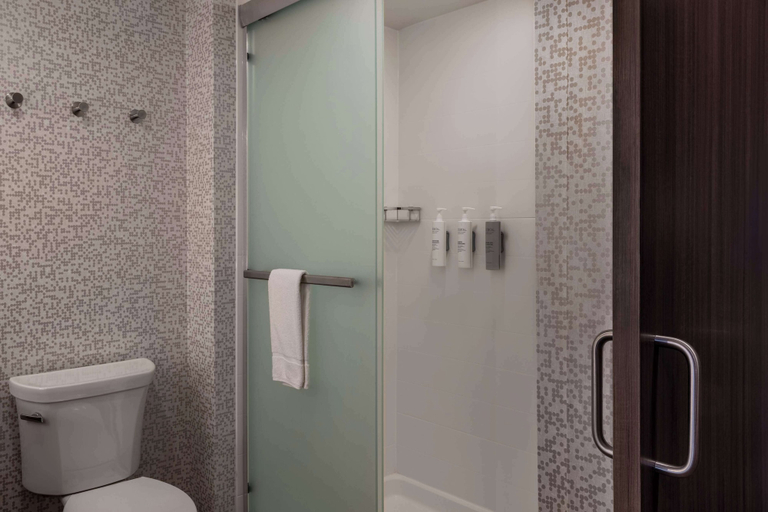 Bathroom 5, Home2 Suites by Hilton Ankeny, Polk