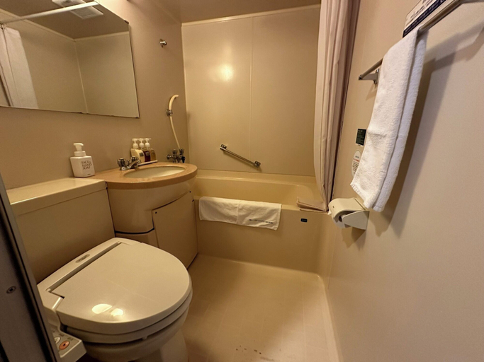 Bathroom 5, Okudogo Ichiyunomori, Matsuyama