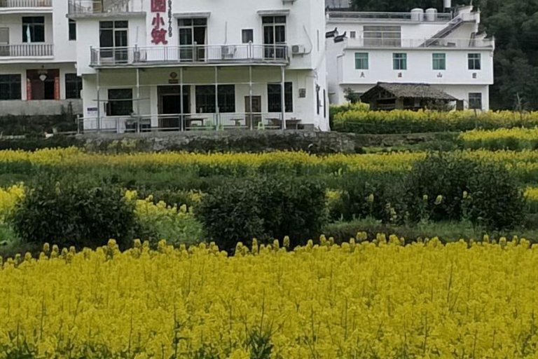 Others 3, Wuyuan Jiangling Garden Hostel, Shangrao