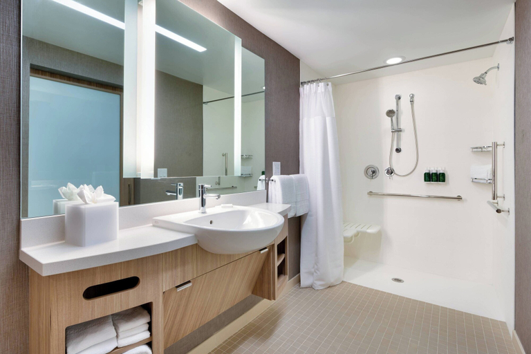 Bathroom 5, SpringHill Suites by Marriott Salt Lake City Sugar House, Salt Lake