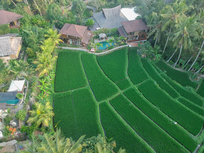 Scenery