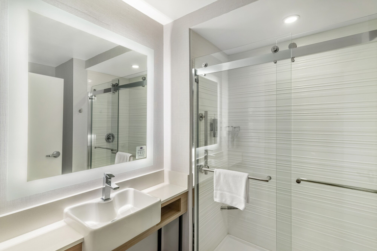 Bathroom 4, Hampton Inn Atlanta - Stockbridge, Clayton