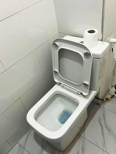 Bathroom 3, Ayinde Homes, AbujaMun