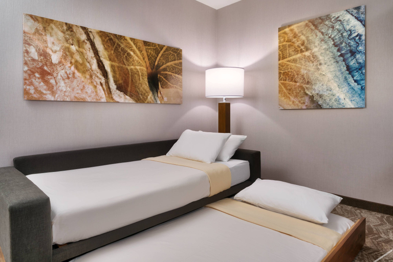 Bedroom 2, スプリングヒル スイーツ バイ マリオット エルパソ エアポート, El Paso