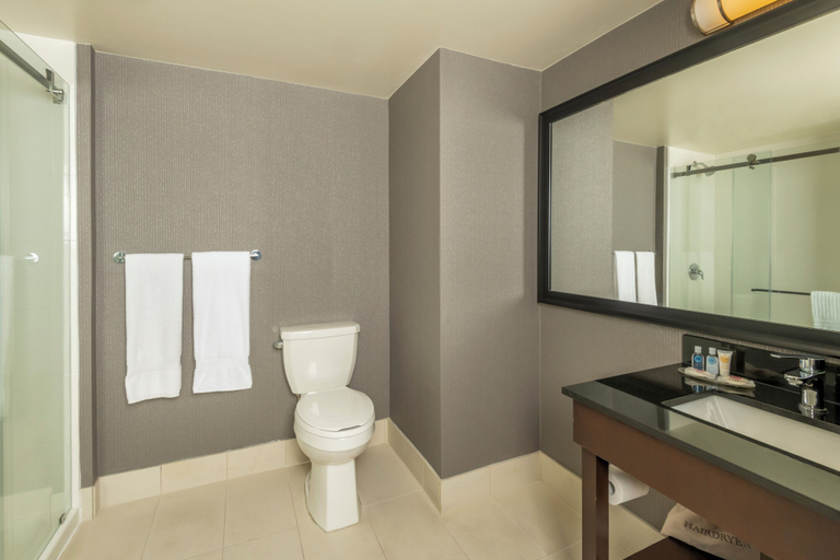Bathroom 4, Comfort Inn Thunder Bay, Thunder Bay