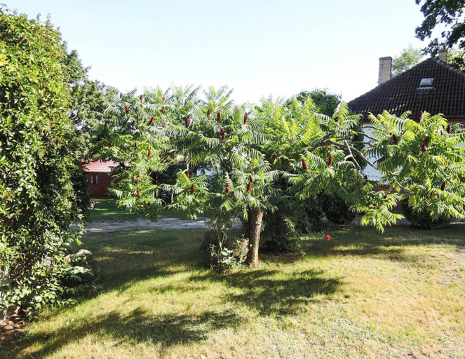 View from property 3, Bungalow by Turquoise Lake & Baltic Beaches, Kamień