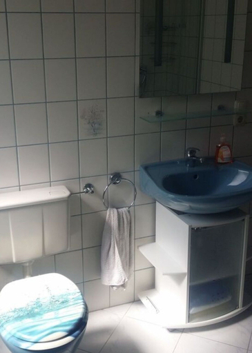Bathroom, Aan de Frankenbeek, Ahrweiler
