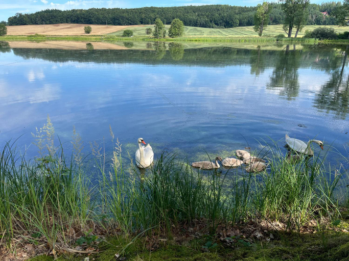 Others 3, Chaty U Zabaka, Prachatice