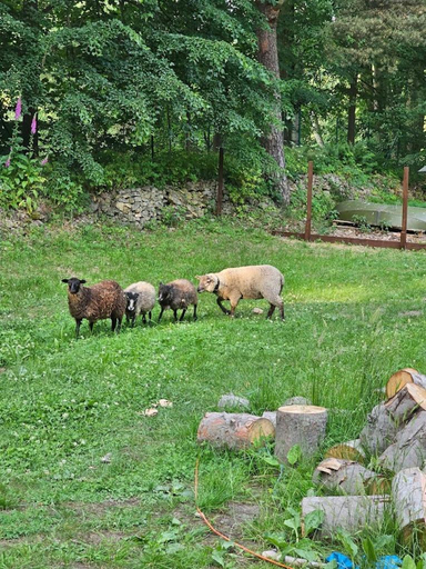 Others 5, Baltic Home, Kłodzko