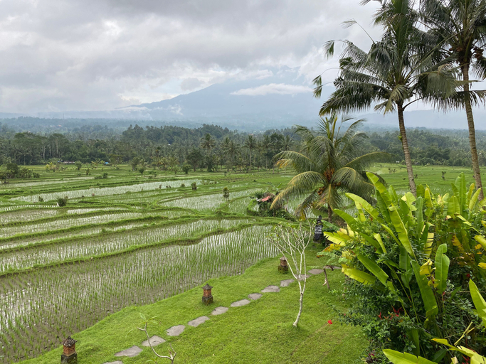 Scenery 13