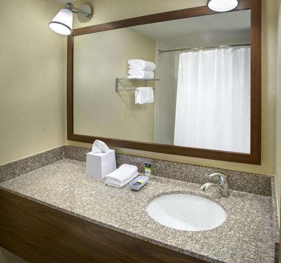 Bathroom 4, Four Points by Sheraton Charleston, Kanawha